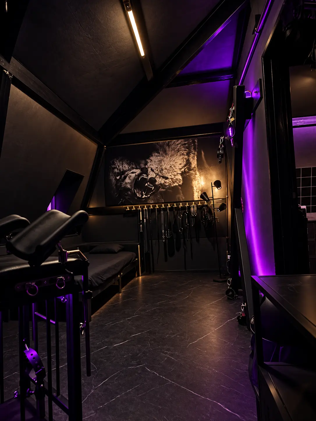 Specialist BDSM Suite 1 at REGÊNT House